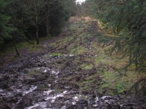 A little damp underfoot here.